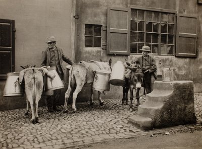 Burros lecheros de Frank Meadow Sutcliffe