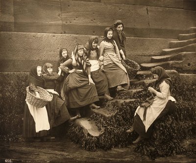 Mujeres esperando la pesca del día, Puerto de Whitby, North Yorkshire, c.1899 de Frank Meadow Sutcliffe