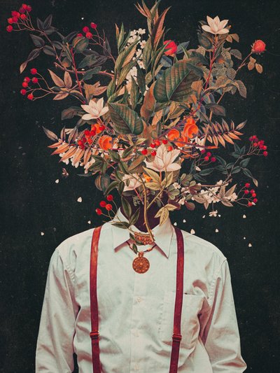  de Frank Moth