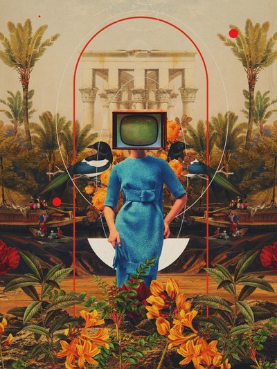  de Frank Moth