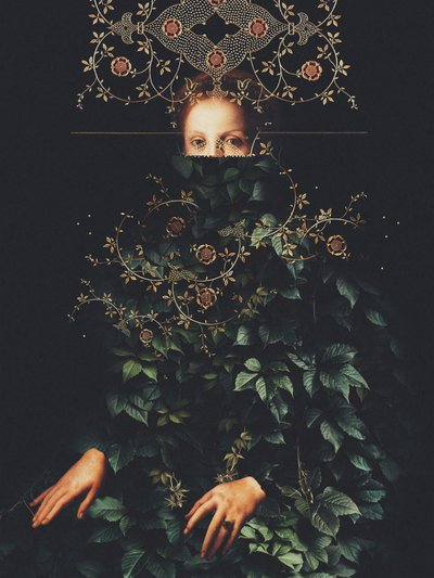  de Frank Moth