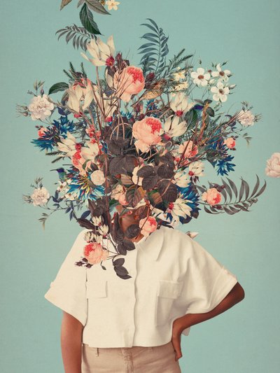  de Frank Moth
