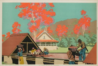 Una plantación de cacao en Trinidad (litografía en color) de Frank Newbould