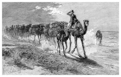 Camellos cargando lana, 1886 de Frank P. Mahony