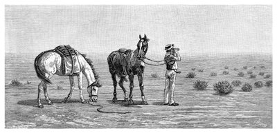 Nada a la vista, 1886 de Frank P. Mahony