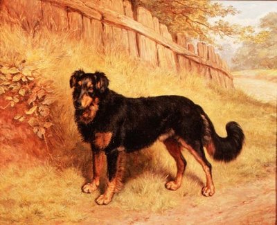 Border Collie de Frank Paton
