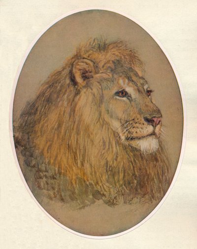 Cabeza de león, c1896 de Frank Paton