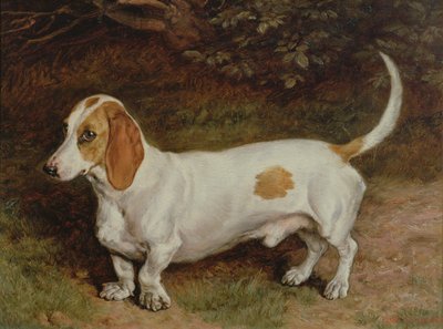 Mi Teckel Favorito, 1885 de Frank Paton