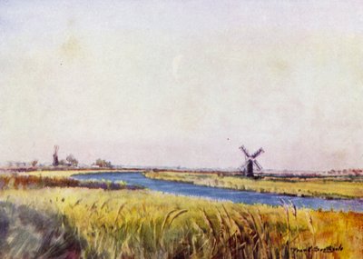 Norfolk Broads: Above St Olaves de Frank Southgate