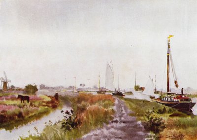 Norfolk Broads: Below Potter Heigham de Frank Southgate