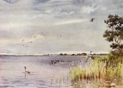 Norfolk Broads: Horsey Mere de Frank Southgate