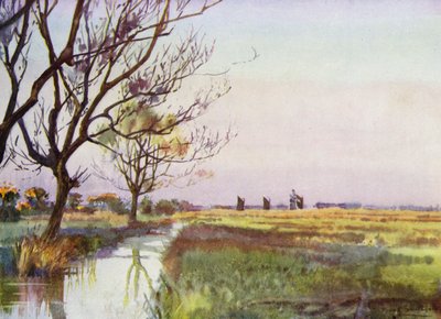 Norfolk Broads: Marismas cerca de Barton (litografía en color) de Frank Southgate