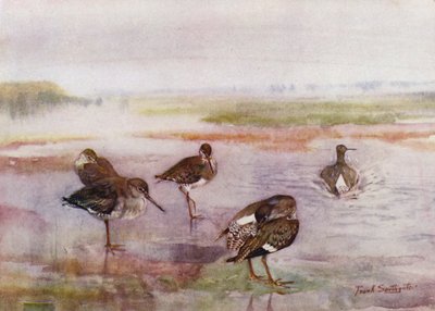 Norfolk Broads: Redshank de Frank Southgate