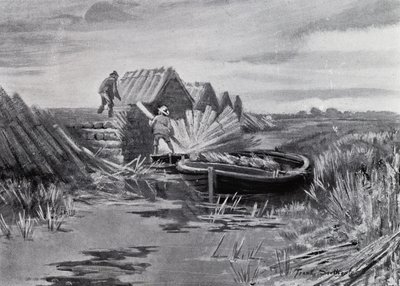 Norfolk Broads: Apilamiento de cañas (litografía) de Frank Southgate