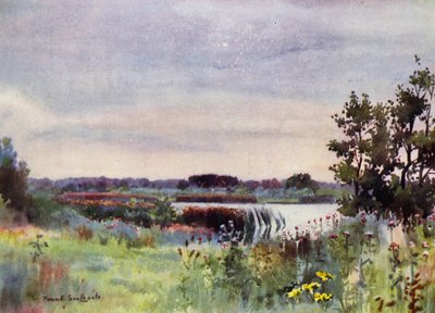 Norfolk Broads: Salhouse Great Broad de Frank Southgate