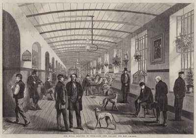 El Hospital Real de Bethlehem, la galería para hombres de Frank Vizetelly