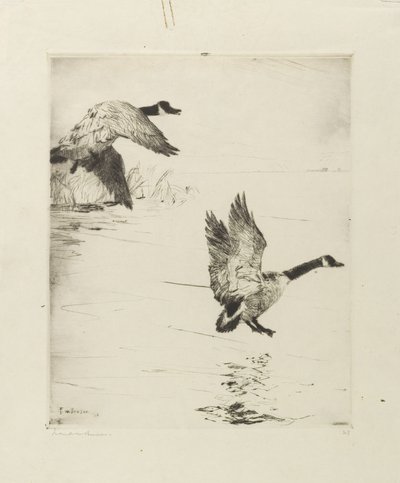 Posada de gansos de Frank Weston Benson