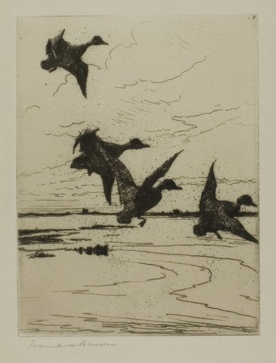 Patos Aterrizando de Frank Weston Benson