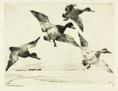 Porrón moñudo de Frank Weston Benson