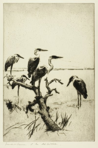 Garzas descansando de Frank Weston Benson