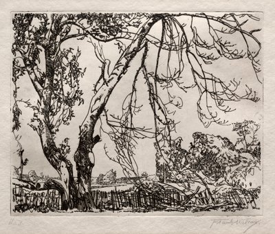 Manzano de Frank Wilcox