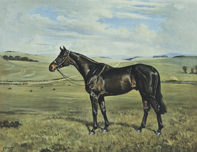 Drimore Lad de Franklin Brooke Voss