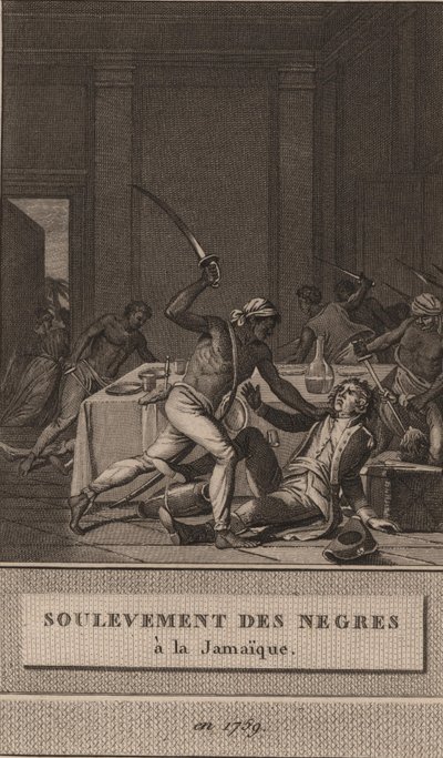 Levantamiento de los esclavos negros en Jamaica en 1760, 1800 de François Anne David