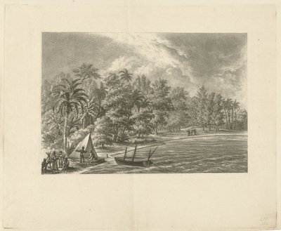 paisaje tropical de François Joseph Pfeiffer (II)
