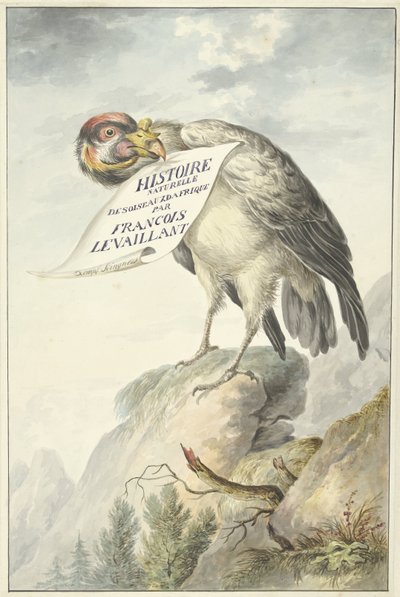 Buitre con una hoja de papel en el pico
HISTOIRE NATURELLE DES OISEAUX DAFRIQUE (título en el objeto) de François Levaillant (circle of)