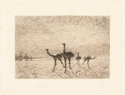 Avestruces en el desierto de François Nicolas Auguste Feyen Perrin