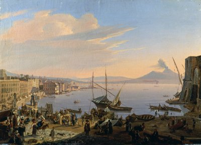 Vista de Nápoles con el Vesubio al fondo de François Vervloet