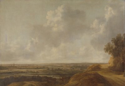 Paisaje panorámico
Panorama en la campiña de Kleve de François van Knibbergen