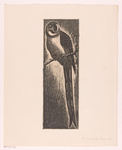 Loro sentado en una rama (título original del objeto) de Frans Bosen
