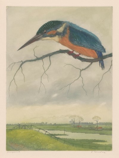 Martín pescador sobre una rama en un paisaje de pradera de Frans Everbag (signed by artist)