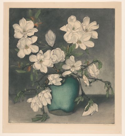 Magnoliatakken de Frans Everbag (signed by artist)