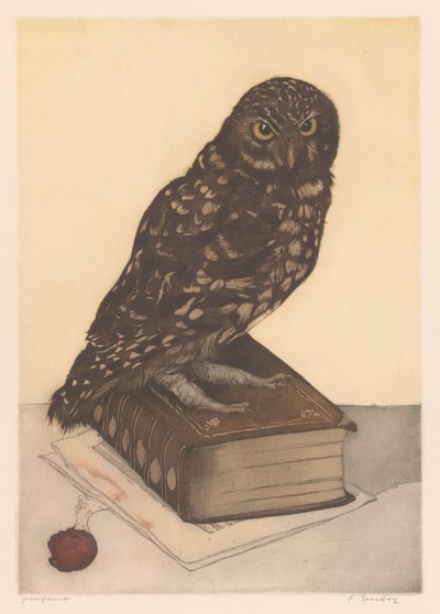 Búho sentado sobre un libro de Frans Everbag (signed by artist)