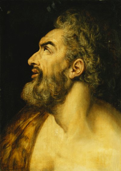 Cabeza de San Juan Bautista de Frans Floris