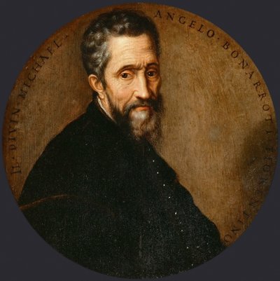 Miguel Ángel Buonarroti dit Michel-Ange de Frans Floris