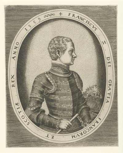 Retrato de Francisco II de Francia 1544-1560, 1559 de Frans Huys
