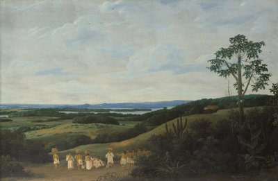 Un Paisaje Brasileño de Frans Post