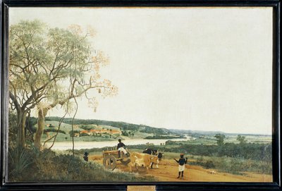 La carreta de bueyes, paisaje brasileño ... de Frans Jansz Post
