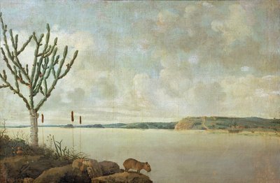 Le Rio Sao Francisco y el Fuerte Maurice, Brasil ... de Frans Jansz Post