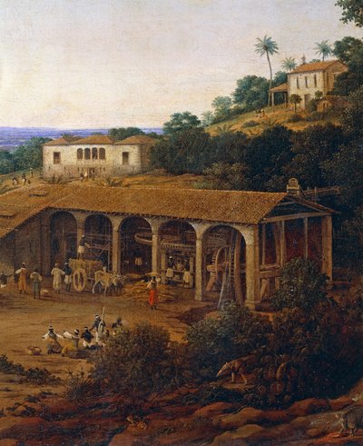 Ingenios azucareros en Brasil, por Frans Post (1612-1680) de Frans Post