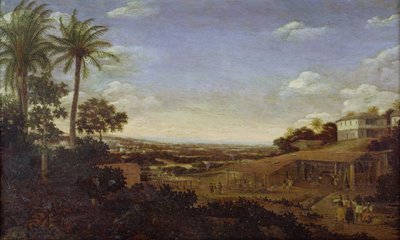 Imagen desconocida de Frans Post