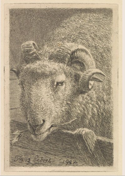 Cabeza de carnero de Frans Lebret