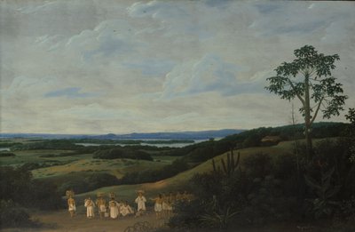 Un paisaje brasileño de Frans Post