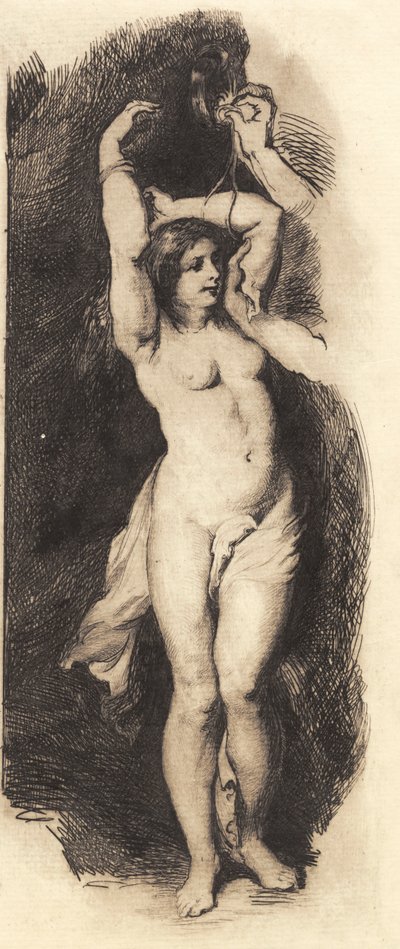 Andrómeda, después de Rubens de Frans Schwartz