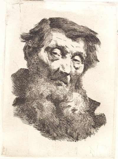 Viejo con barba gris dividida de Frans Schwartz