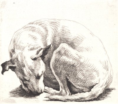 Placa de prueba: Un perro de Frans Schwartz