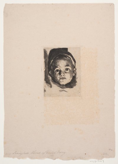 Placa de prueba: Cabeza de un niño pequeño de Frans Schwartz